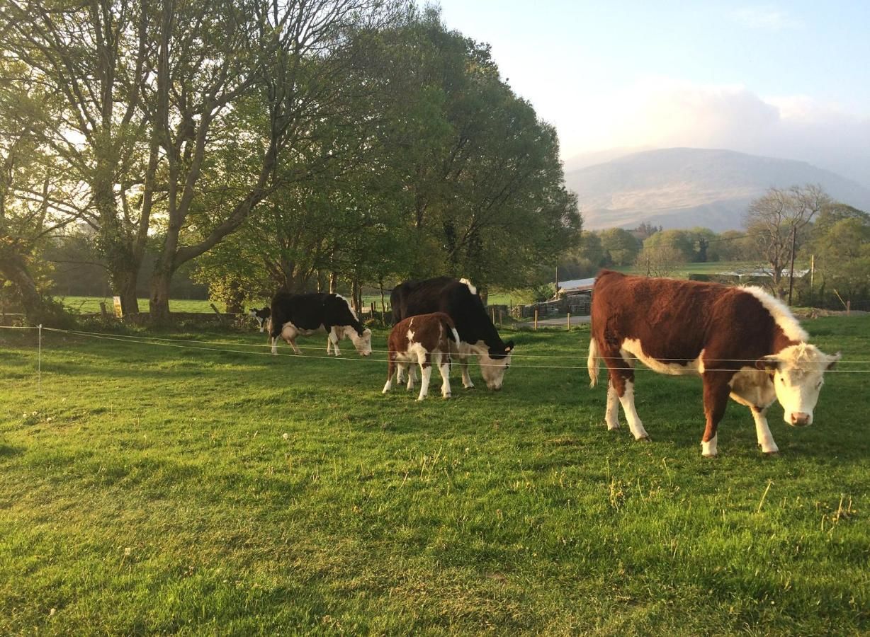 Отели типа «постель и завтрак» Inveraray Farmhouse B&B Бофорт