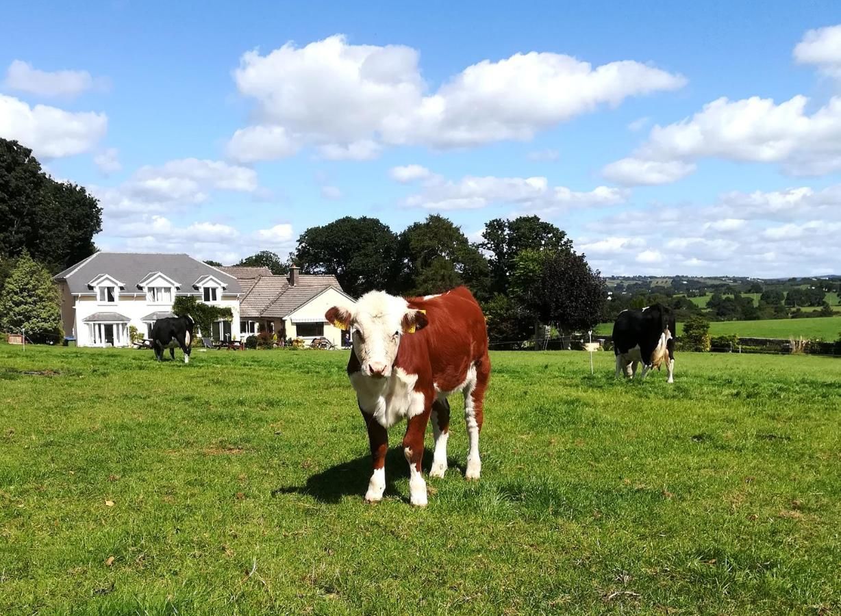 Отели типа «постель и завтрак» Inveraray Farmhouse B&B Бофорт-5