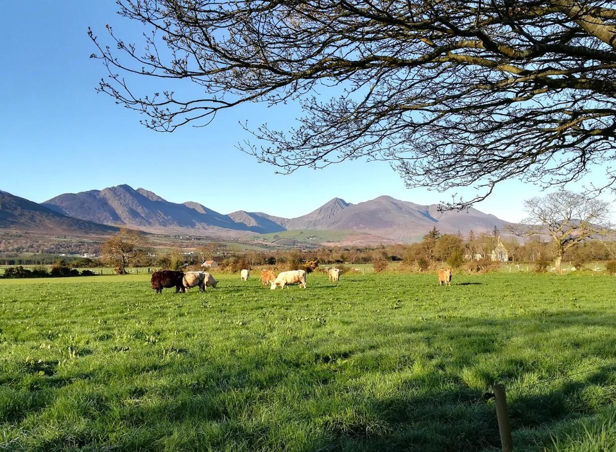 Отели типа «постель и завтрак» Inveraray Farmhouse B&B Бофорт